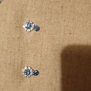 Stylish blue earrings